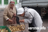 Евгений Тефтелев и волшебная картошка. Мэра позвали запастись овощами
