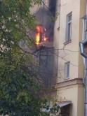 И даже котика спасли. Одиннадцать пожарных тушили квартиру на проспекте Ленина