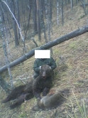 Охотники или убийцы? Магнитогорец сфотографировался с убитой медведицей и медвежонком