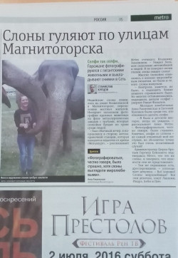Вот она – слава! «Магнитогорские» слоны развлекают пассажиров московской подземки