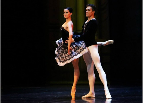 50% за билет! Первые ряды на шоу-балет «Чёрный лебедь» подешевели вдвое, но ненадолго