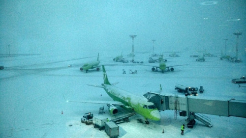 Более 80 рейсов задержали. Взлетные полосы московских аэропортов парализованы из-за снегопада