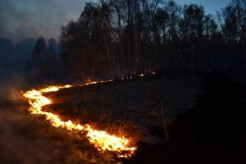 Даже авиацию задействовали. В районе трассы «Магнитогорск - Челябинск» продолжают тушить лесной пожар