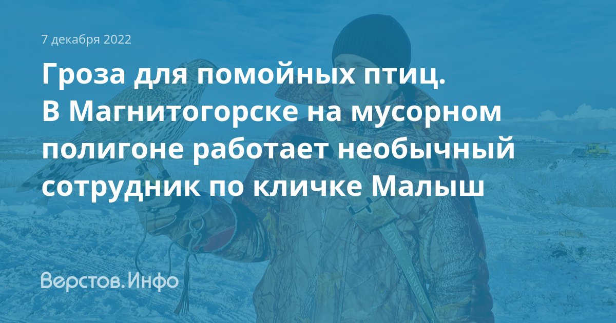 Верстов инфо в магнитогорске учатся дети