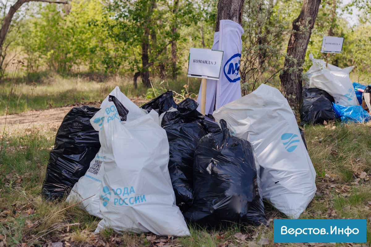 IMG_9266.jpg IMG_9266.jpg