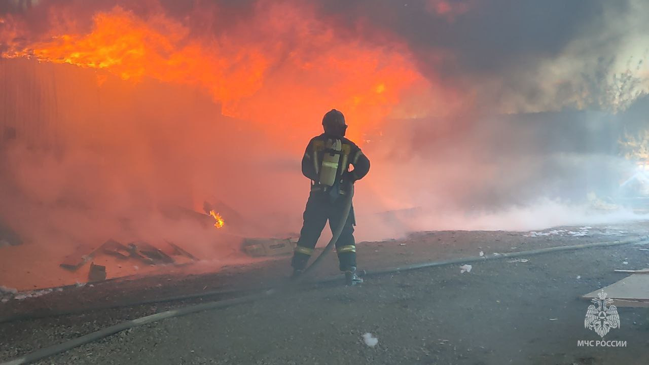 IMG_1730.jpeg IMG_1730.jpeg