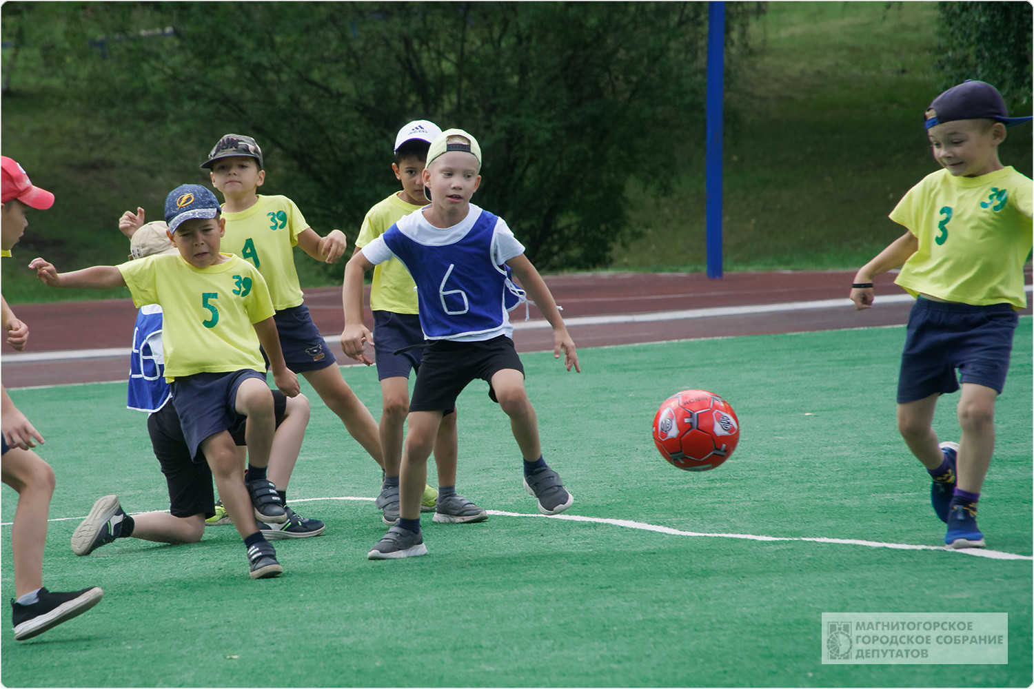 S8003843_DxO.jpg S8003843_DxO.jpg