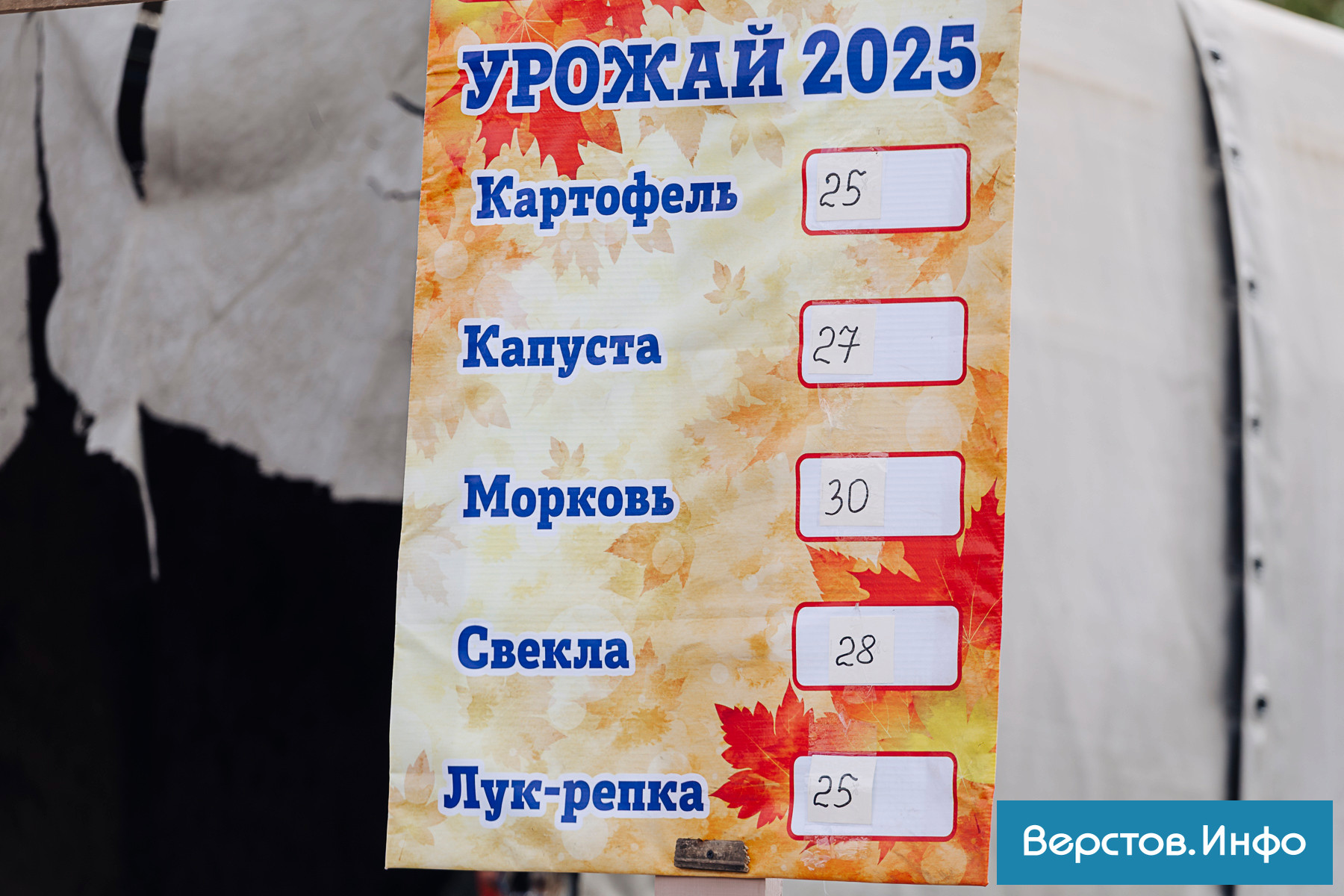 MHD_3286.jpg MHD_3286.jpg