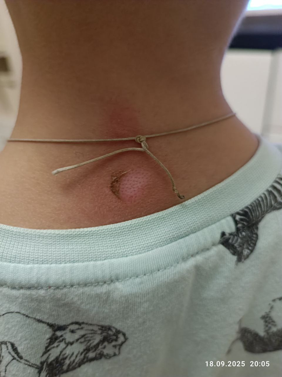 IMG_1685.jpeg IMG_1685.jpeg