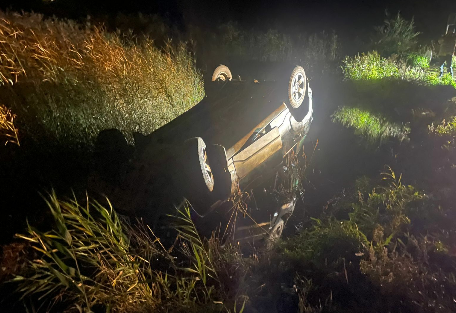 Снимок экрана 2025-09-03 в 13.06.11.png