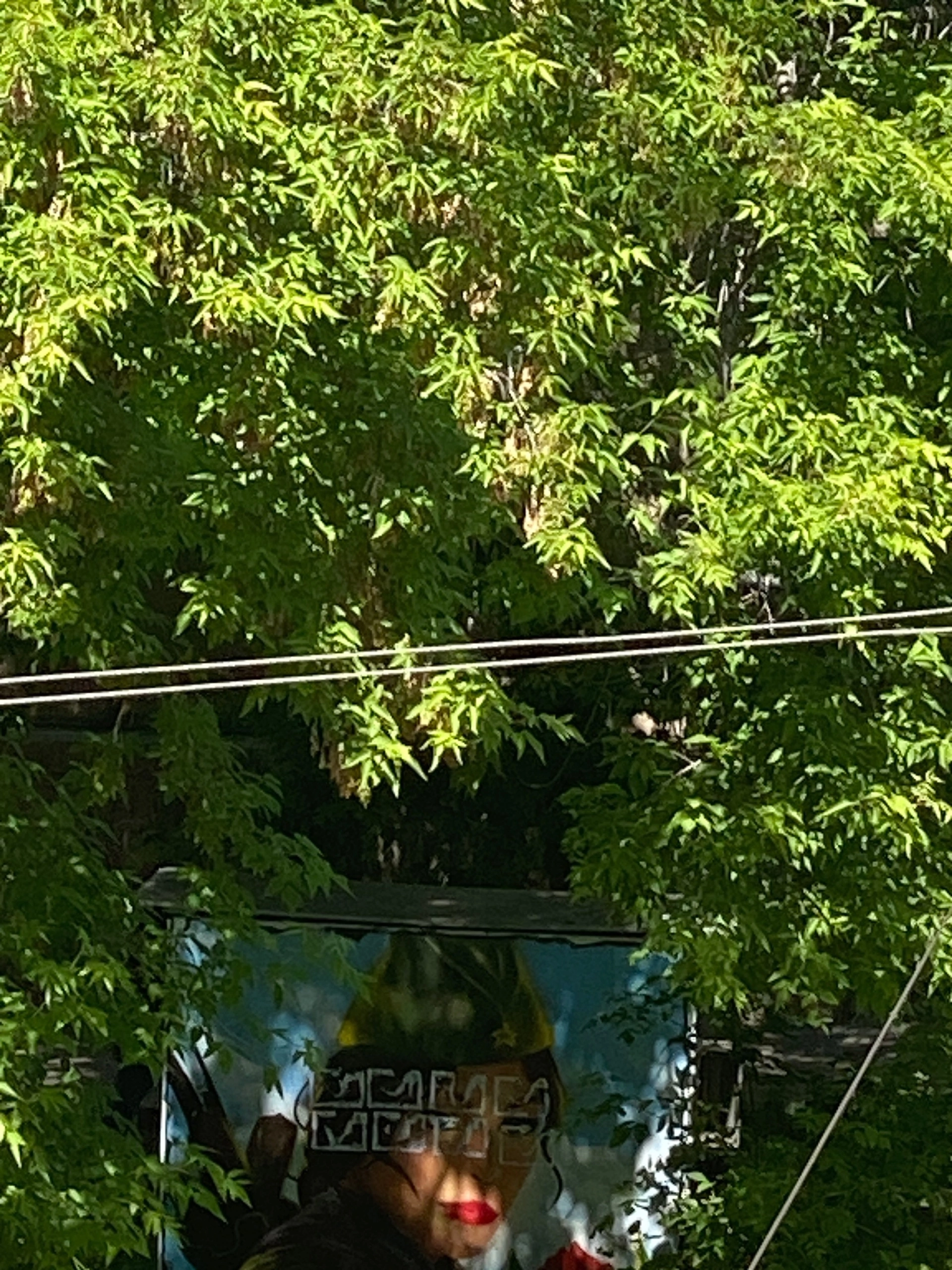 IMG_0905.png IMG_0905.png