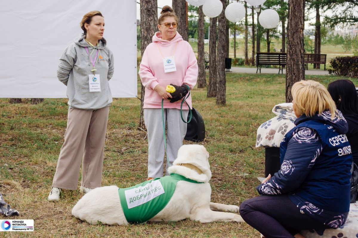 festivaly-volonterov-5.jpg festivaly-volonterov-5.jpg