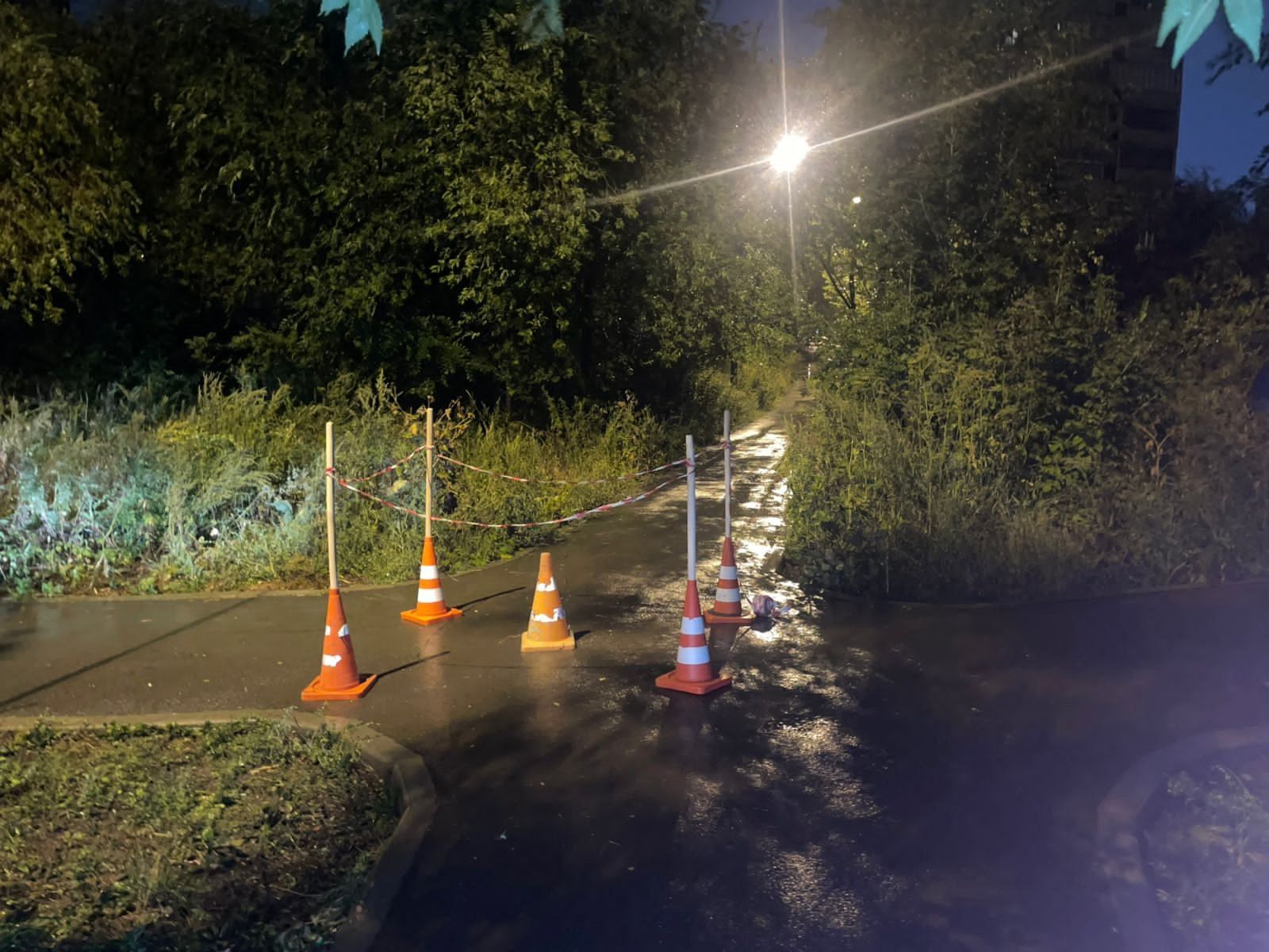 самлкатчик 1.jpg