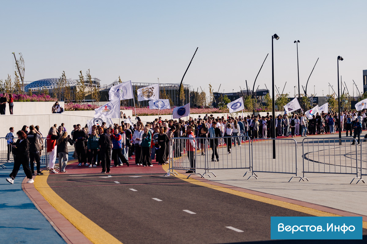 IMG_2033.jpg IMG_2033.jpg