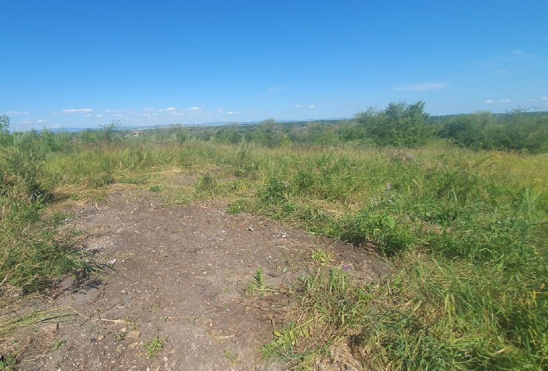 photo_2025-08-04_17-30-54 (3).jpg