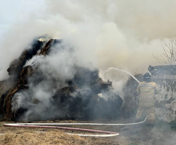 александровских.jpg александровских.jpg