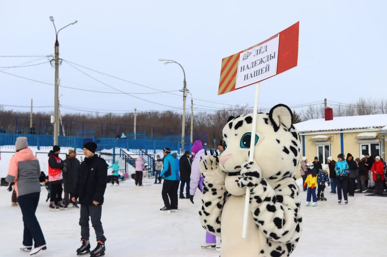 2026-02-08 13.02.32.jpg