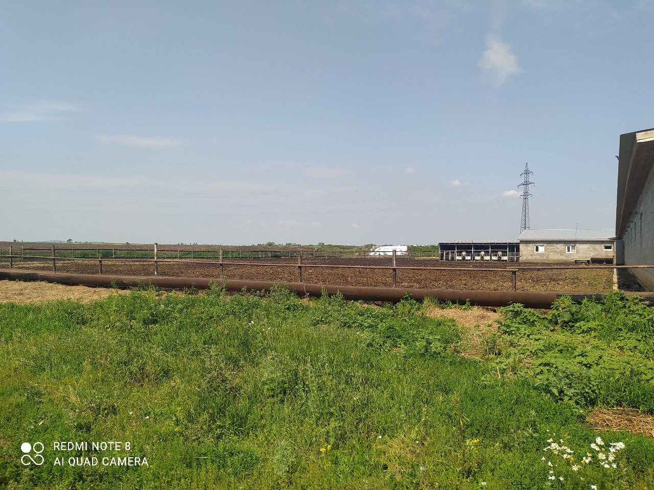 photo_2025-08-06_10-43-22 (2).jpg photo_2025-08-06_10-43-22 (2).jpg