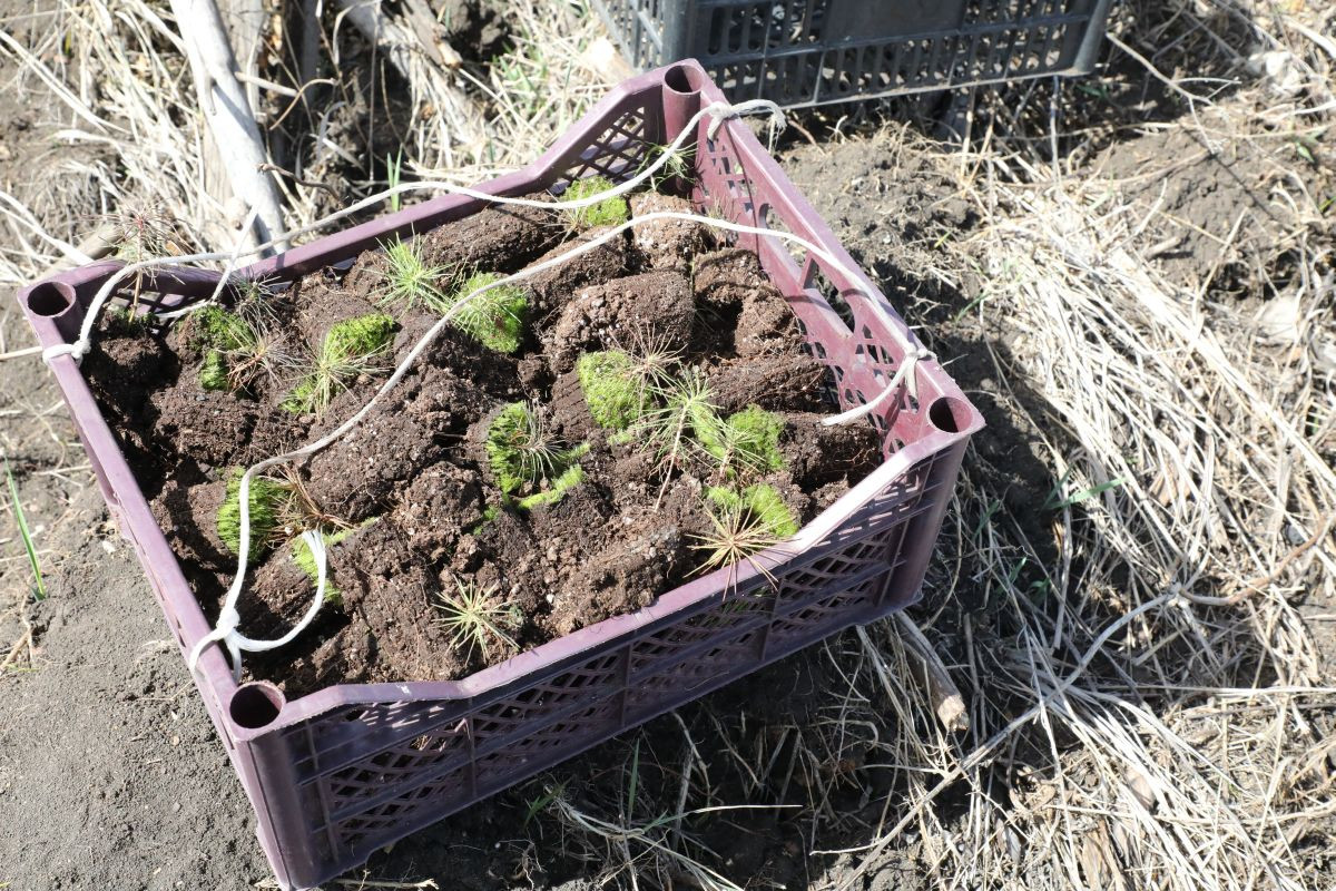 les-(10).jpg les-(10).jpg