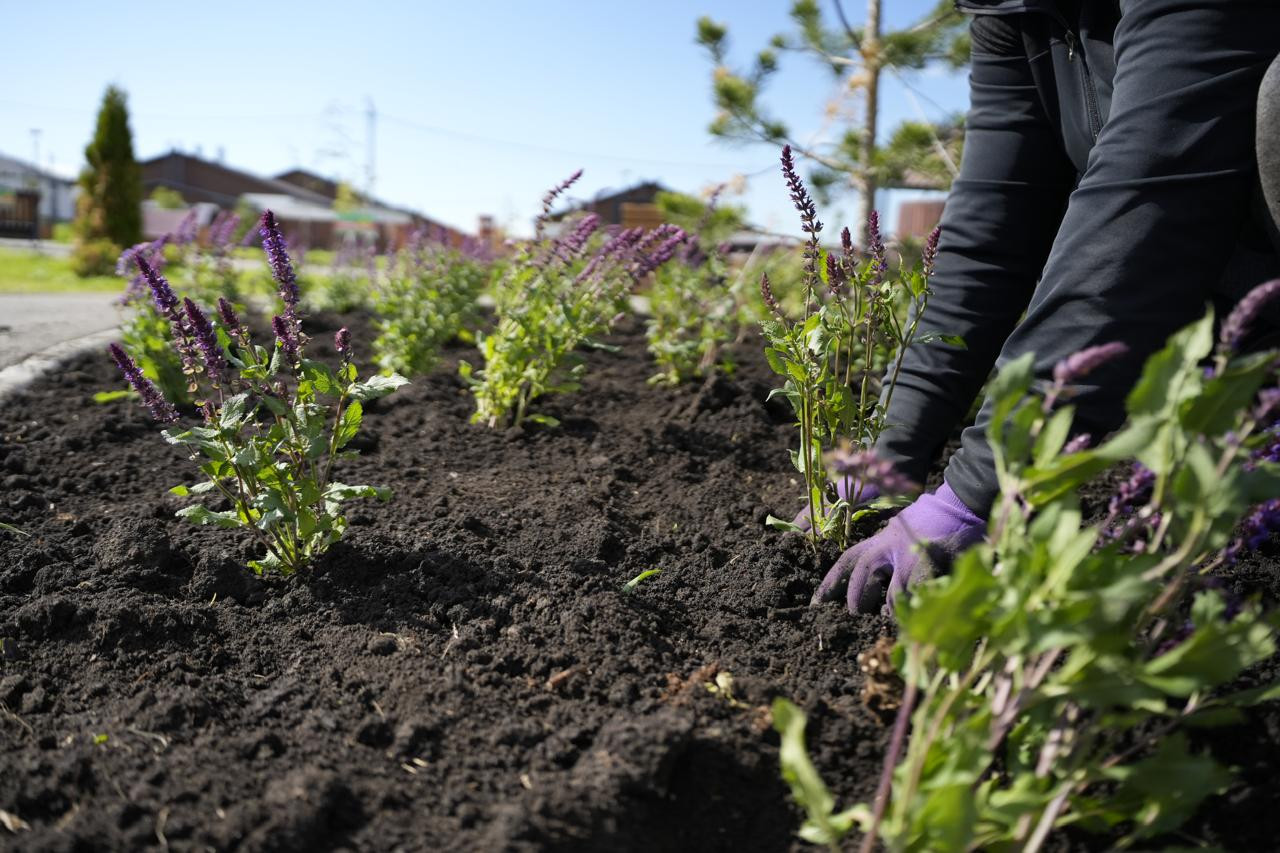 Изображение WhatsApp 2025-07-10 в 17.37.45_cdf9a03f.jpg