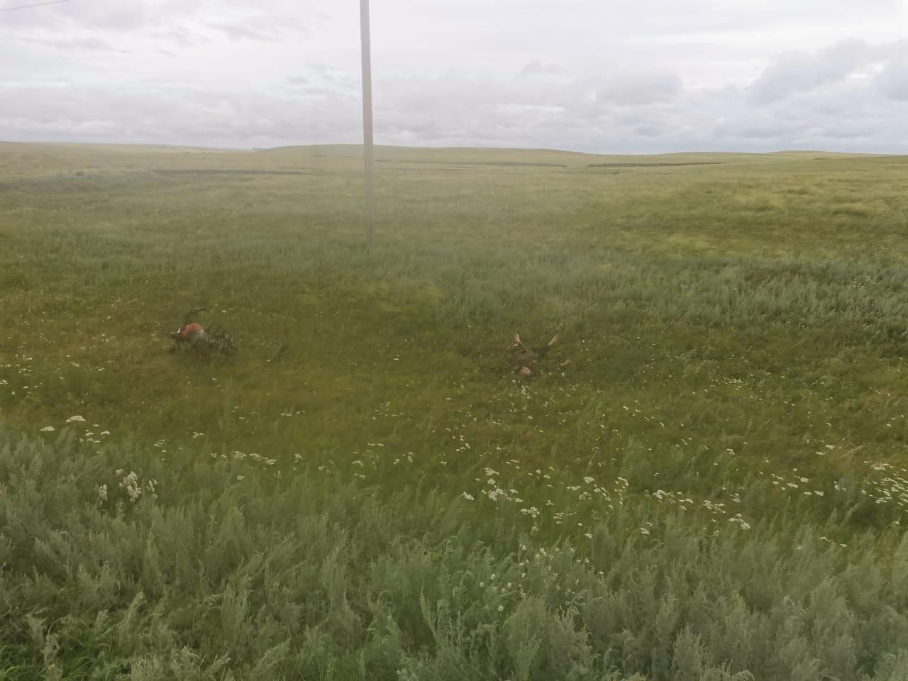 photo_5271991847134292592_y.jpg photo_5271991847134292592_y.jpg