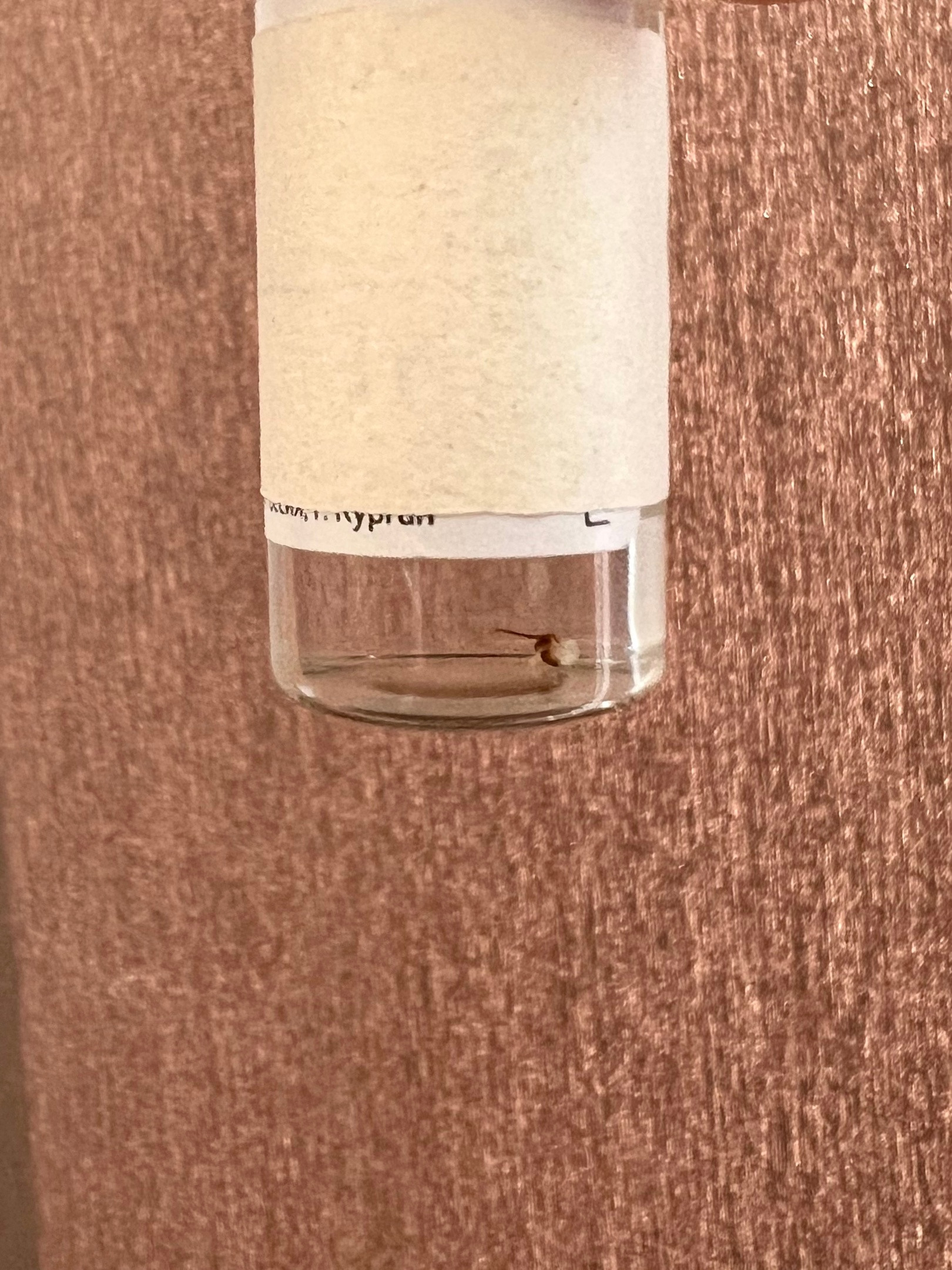 ujKJTCui7WQ.jpg ujKJTCui7WQ.jpg