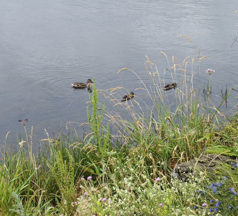 mZNn3EaRu9FfjK-NorlGY5BTXLFQnAzuDxUwm_AmiY_64kNhxqiV_vQ0LQeeHaTeGftleaFISCzMCOawh6HIKxy3.jpg mZNn3EaRu9FfjK-NorlGY5BTXLFQnAzuDxUwm_AmiY_64kNhxqiV_vQ0LQeeHaTeGftleaFISCzMCOawh6HIKxy3.jpg