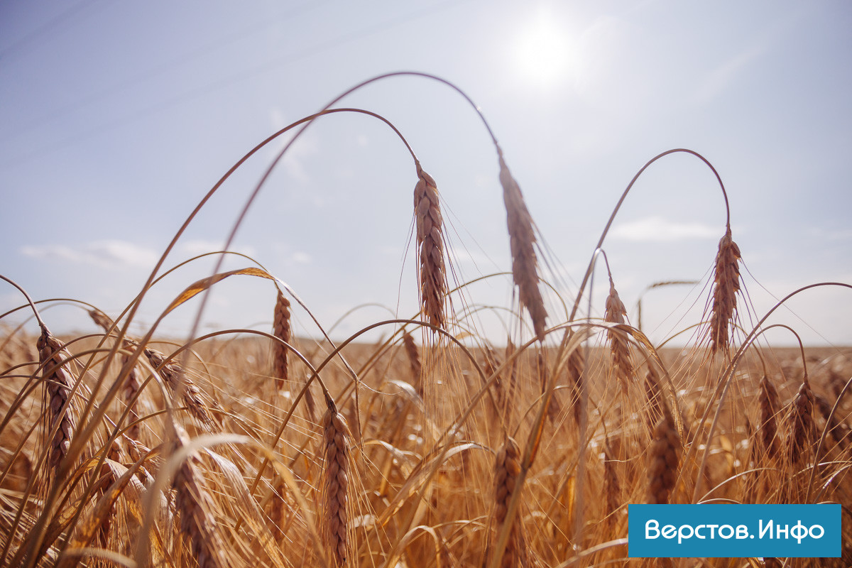 IMG_8746.jpg IMG_8746.jpg