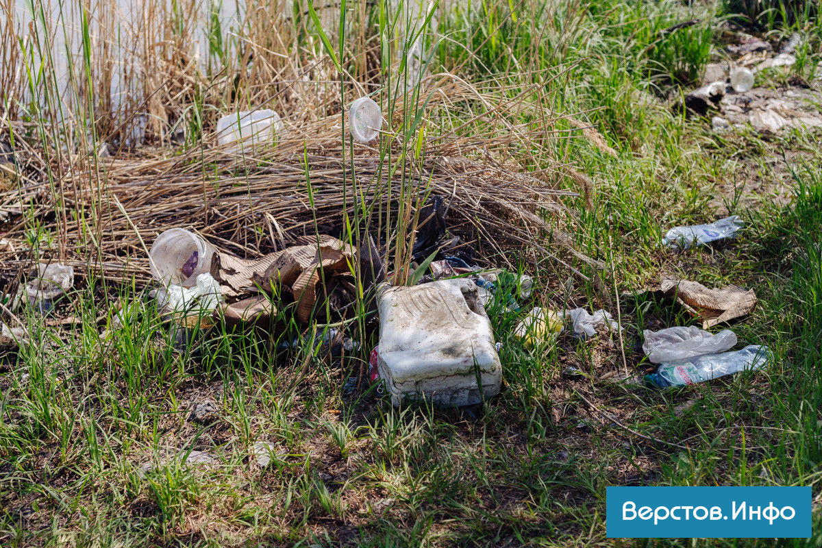 IMG_9130.jpg IMG_9130.jpg