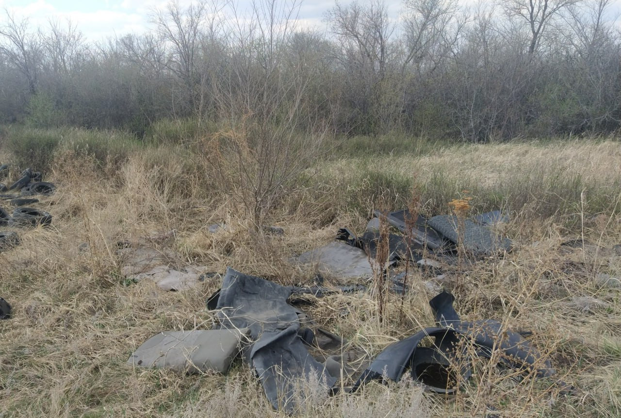 photo_2025-08-04_17-30-54 (2).jpg