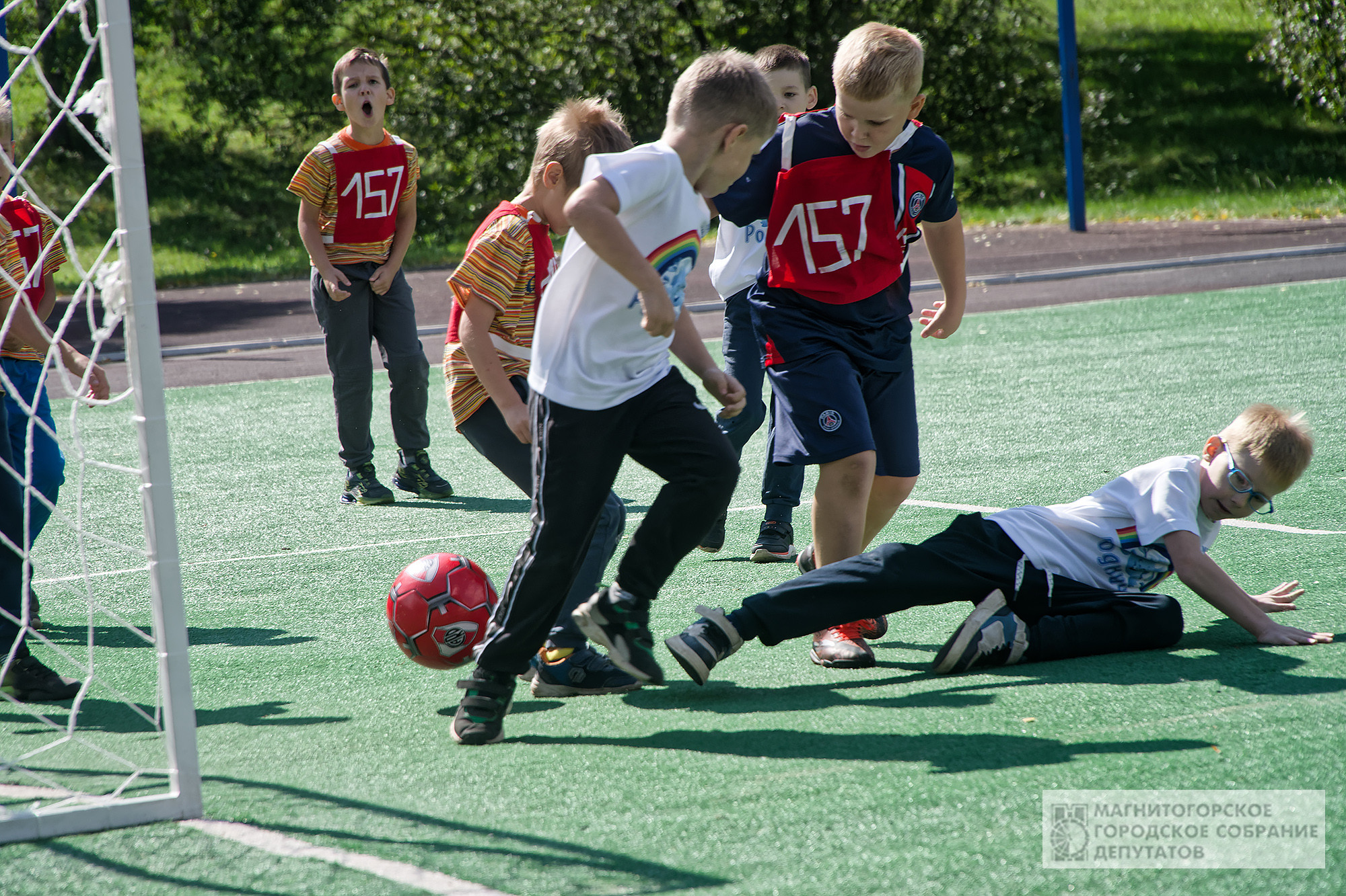 DSC02919_DxO.jpg DSC02919_DxO.jpg