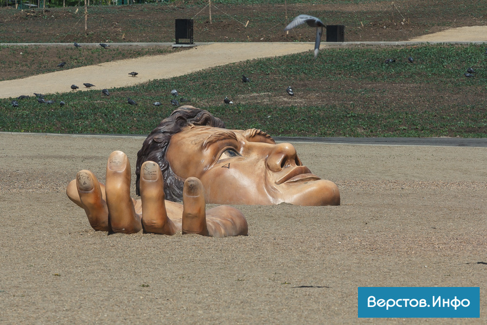 IMG_7956.jpg IMG_7956.jpg