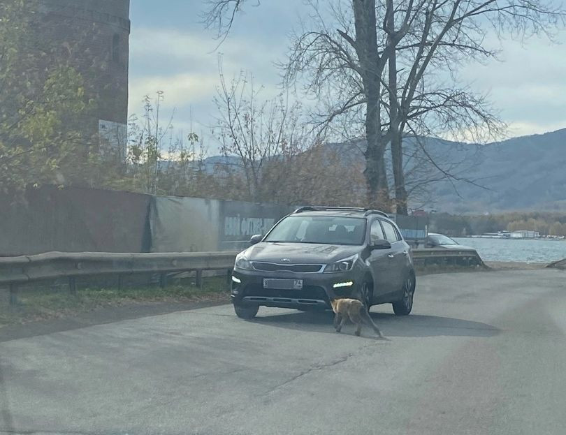 HvOlzM8bBW8 (1).jpg HvOlzM8bBW8 (1).jpg