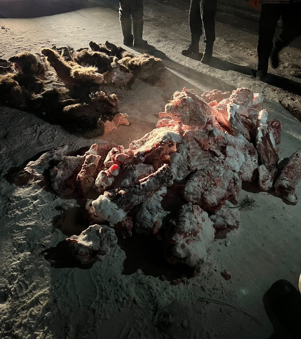 8pF_5F-Gfbc.jpg 8pF_5F-Gfbc.jpg