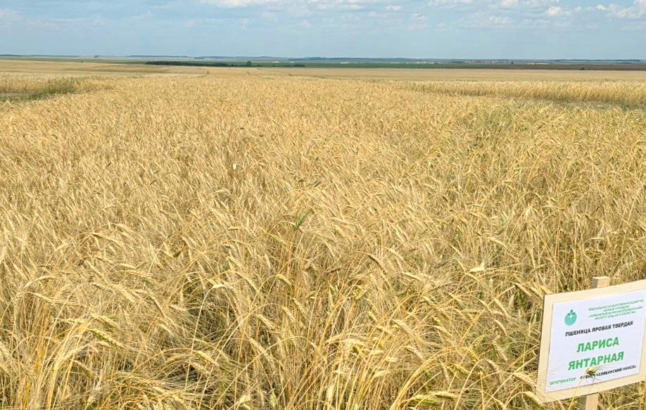 photo_2025-08-05_20-06120.jpg photo_2025-08-05_20-06120.jpg