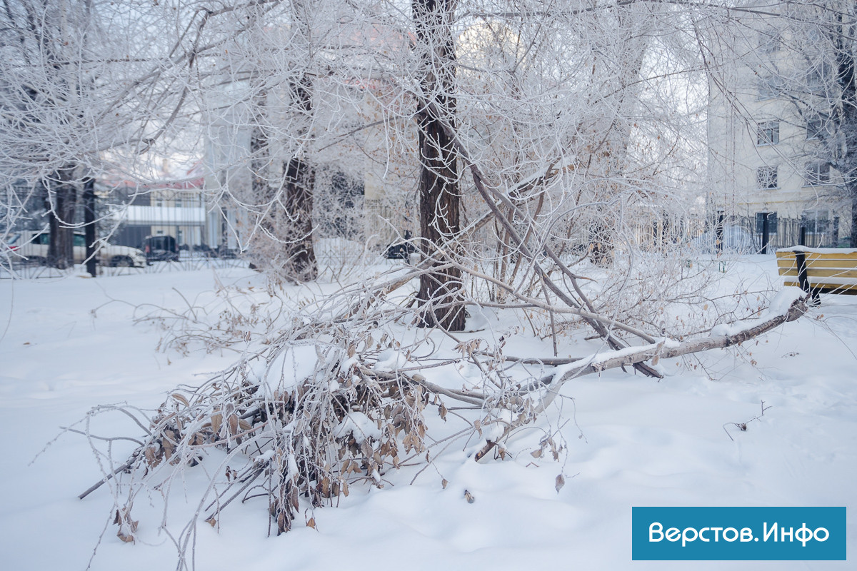 IMG_5222.jpg IMG_5222.jpg