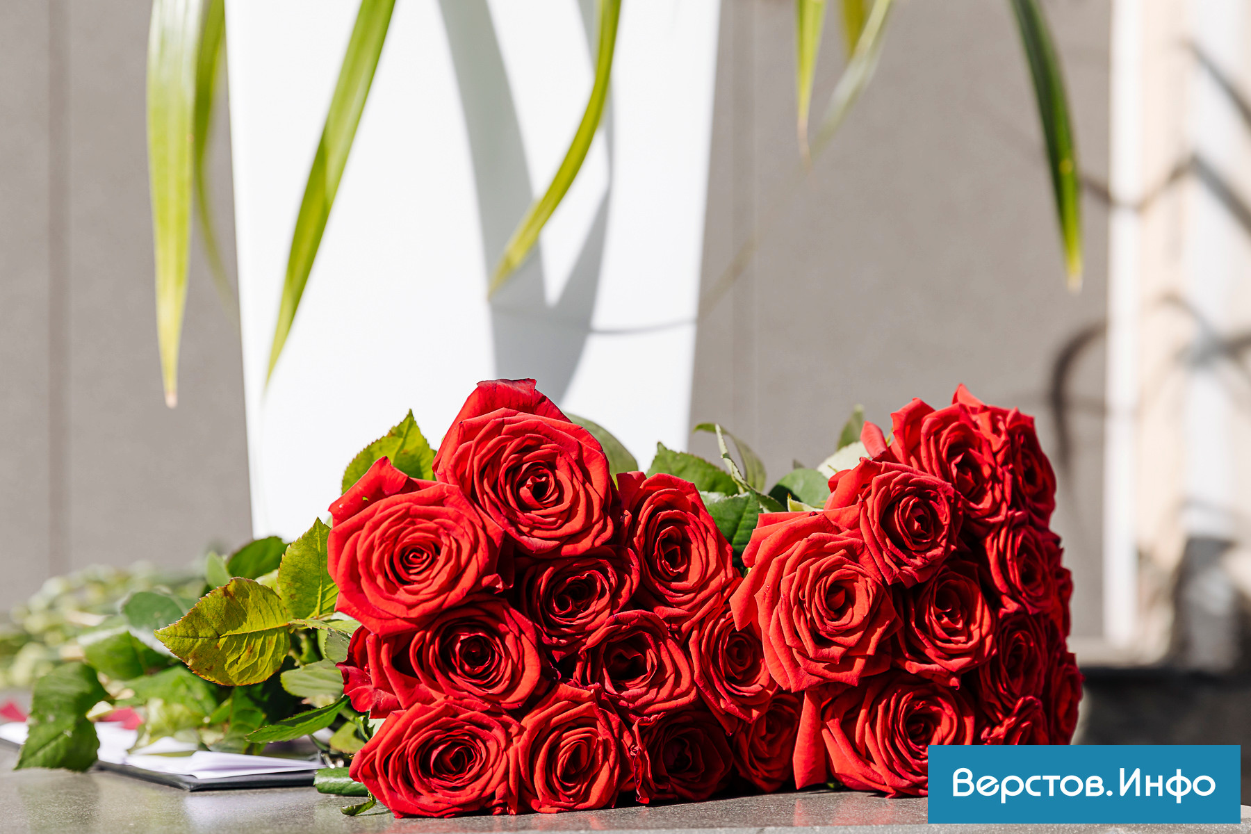 MHD_9778.jpg MHD_9778.jpg