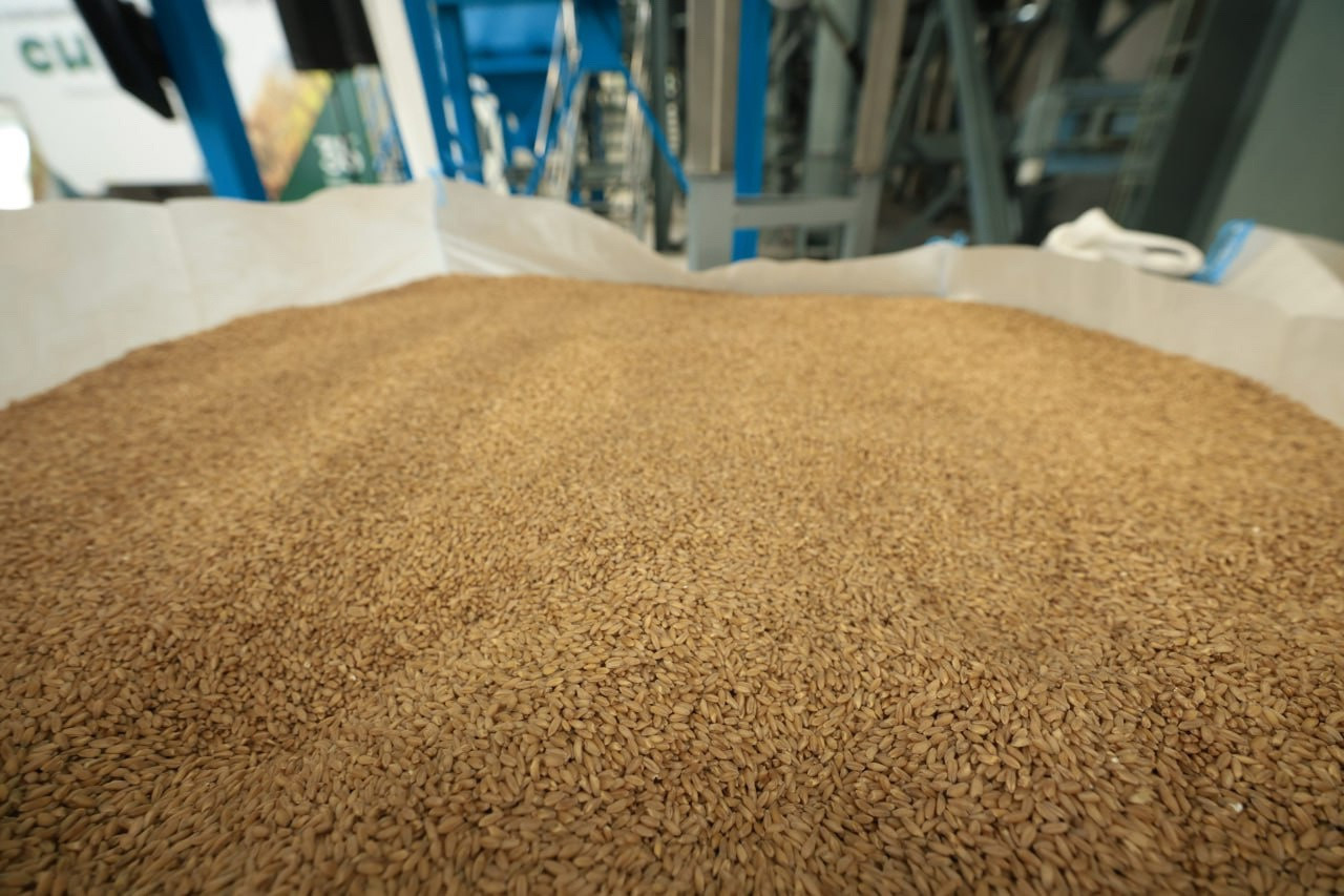 4HpyDc_LlIk.jpg 4HpyDc_LlIk.jpg