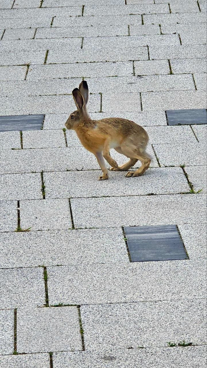 rEVLy0tHPPaIlubMoYVwxNwijsKzPWleT19WfMZGguUoP4ebrV7i0zmjoPE_gU1kKP-IoOF5YlzeiGPsR7KxJgh8.jpg rEVLy0tHPPaIlubMoYVwxNwijsKzPWleT19WfMZGguUoP4ebrV7i0zmjoPE_gU1kKP-IoOF5YlzeiGPsR7KxJgh8.jpg