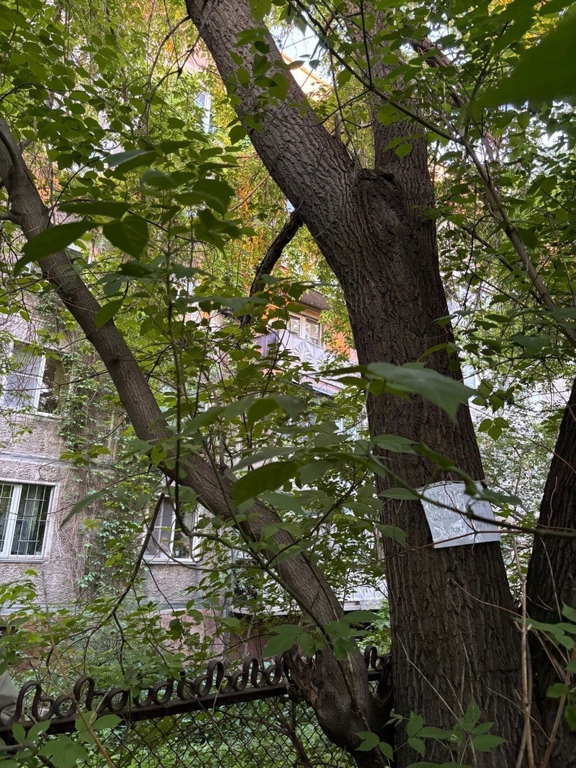 EjFNz-yiWUc.jpg EjFNz-yiWUc.jpg