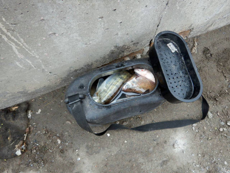 1687430648957(95)-800x600.jpg 1687430648957(95)-800x600.jpg