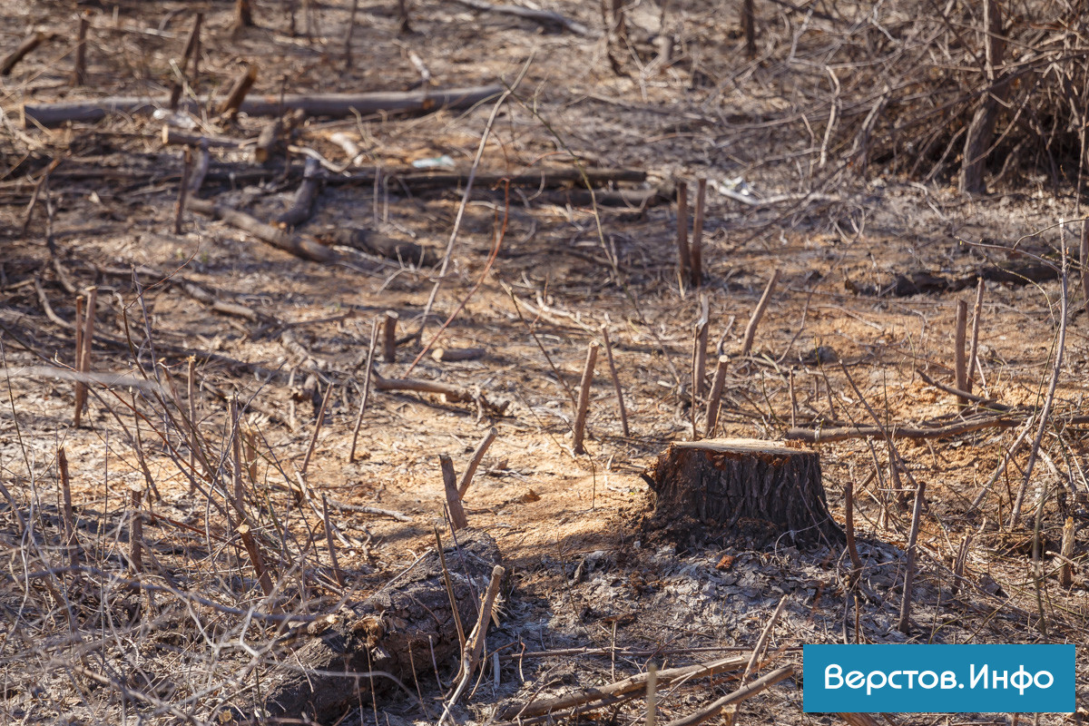 IMG_7675.jpg IMG_7675.jpg