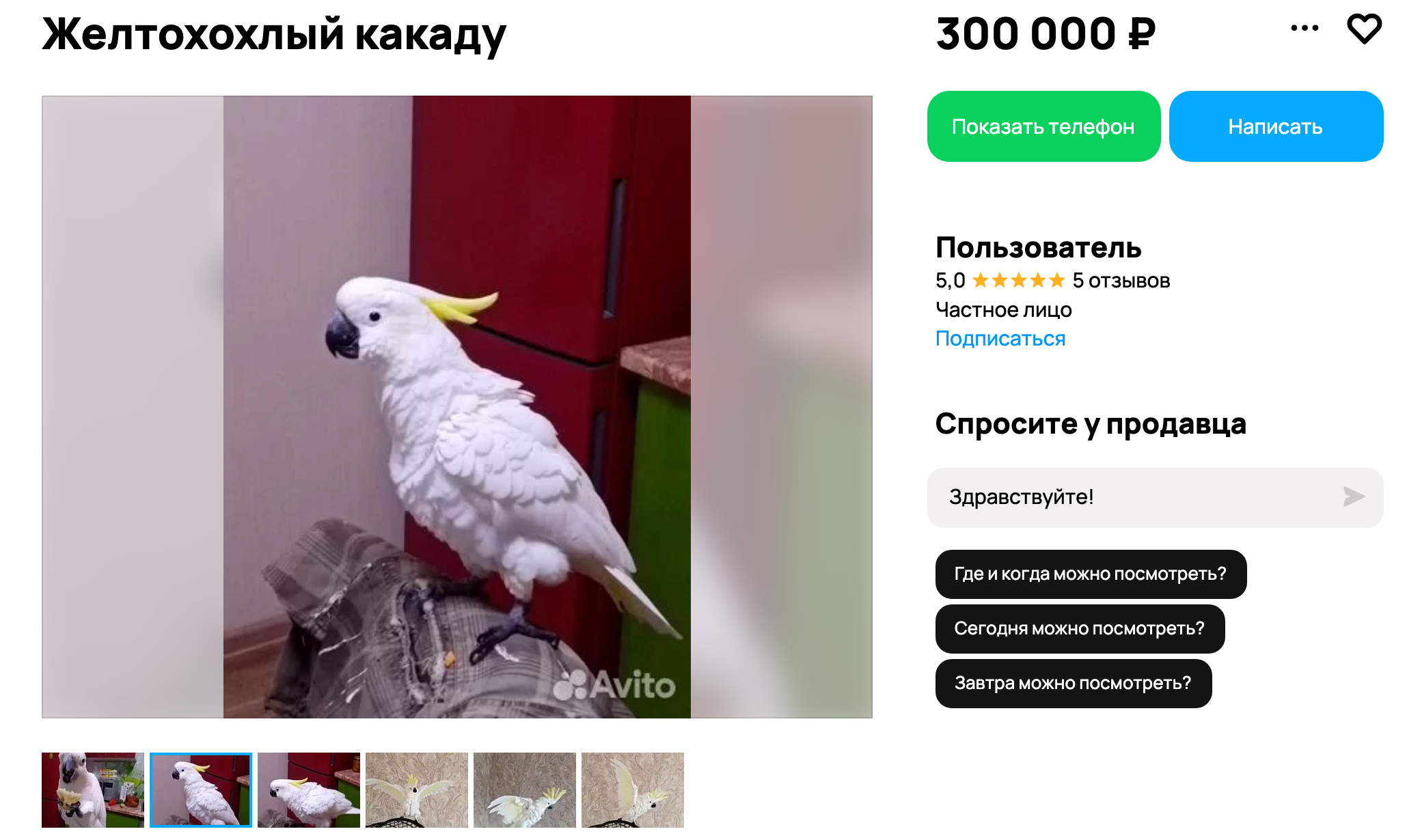 Снимок экрана 2026-01-09 в 12.34.53.png