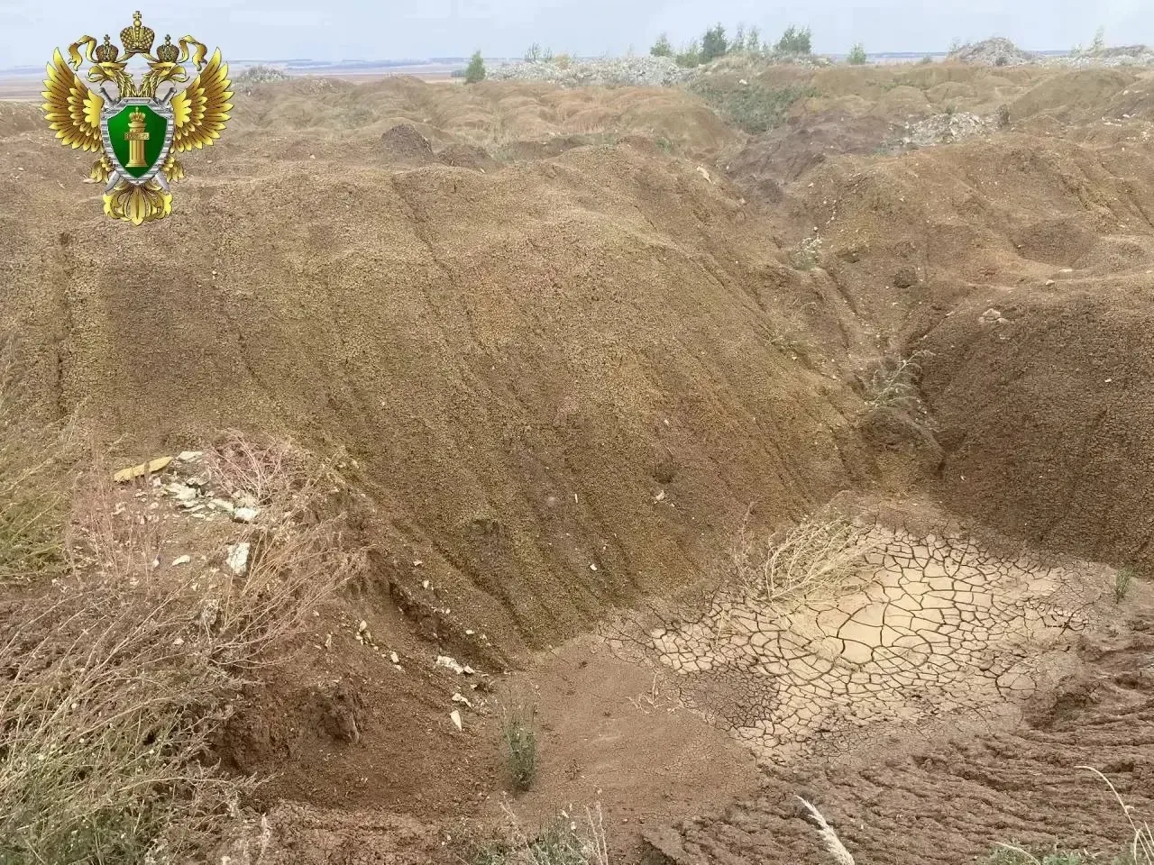 IMG_20260415_112431.png IMG_20260415_112431.png