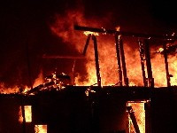 Лысый в шортах пироман поджигает «строительные» сады Лысый в шортах пироман поджигает «строительные» сады