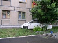 Материнский инстинкт спас детей Материнский инстинкт спас детей