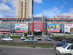Кардинал Кардинал