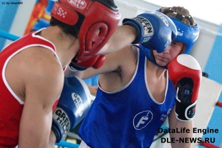 Турнир по боксу памяти Андрея Перминова