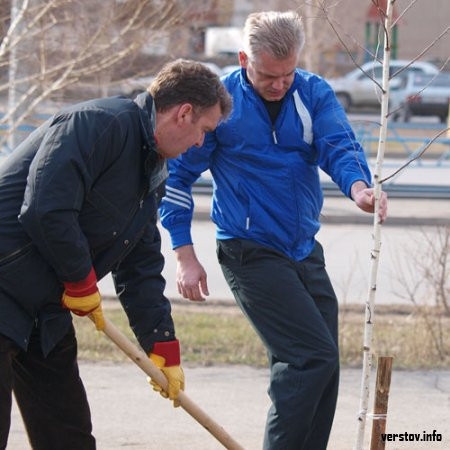 Магнитогорские VIPы посадили лес