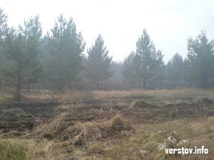 На севере Магнитки сгорело более 30 гектаров леса